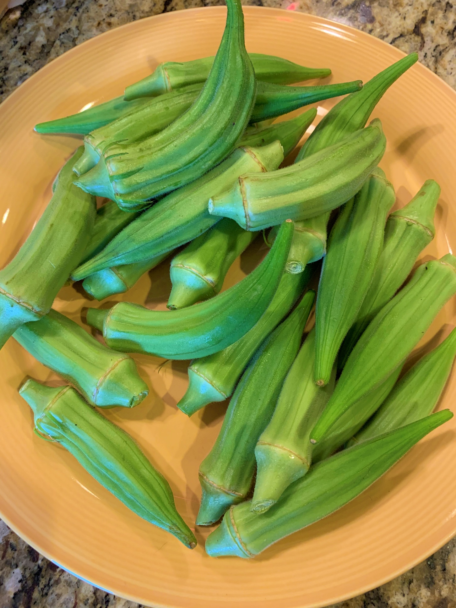 How to Grow Delicious Okra in Containers Okra In My Garden