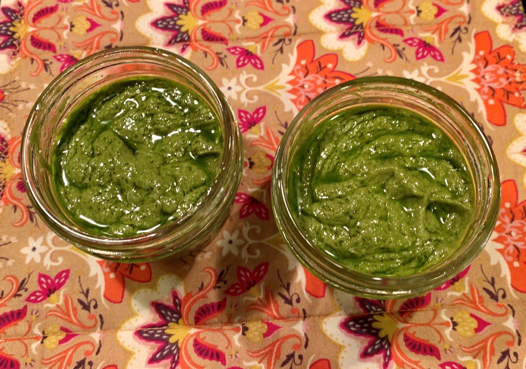 Read more about the article How to Make Pesto Using Basil From Your Garden
