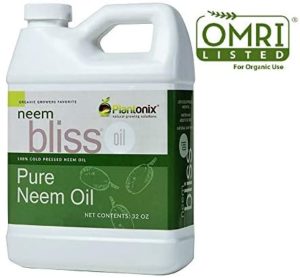 neem oil