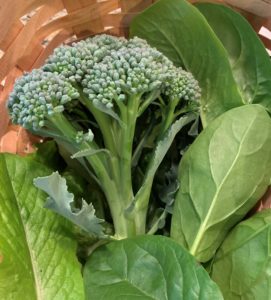 broccoli head in basket
