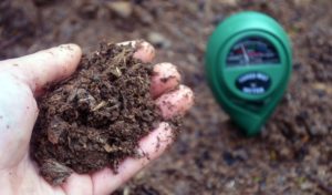 garden soil pH meter alkaline
