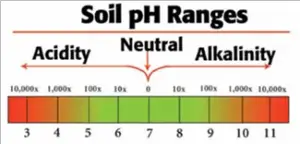 pH scale