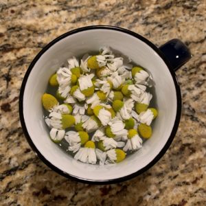 chamomile tea