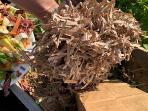 compost, shredded paper, carbon