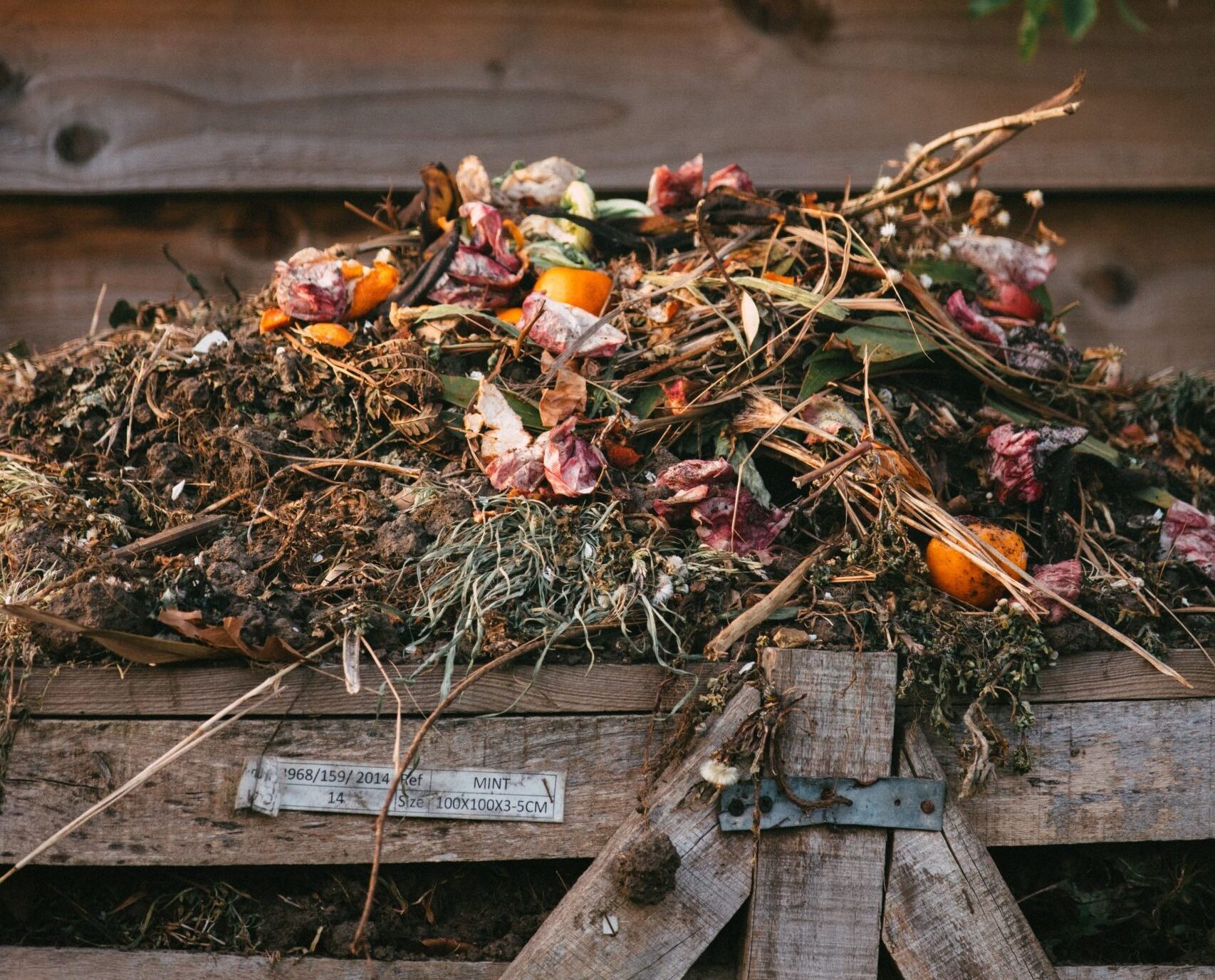 Read more about the article Simple Compost Ingredients: A List of Do’s and Don’ts