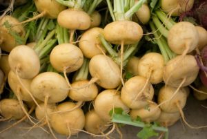 golden ball turnips