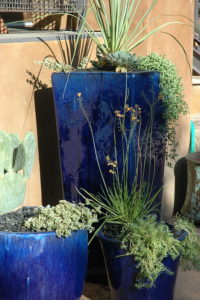 8 Ways Container Gardening is Better Than Traditional Gardening - Okra ...