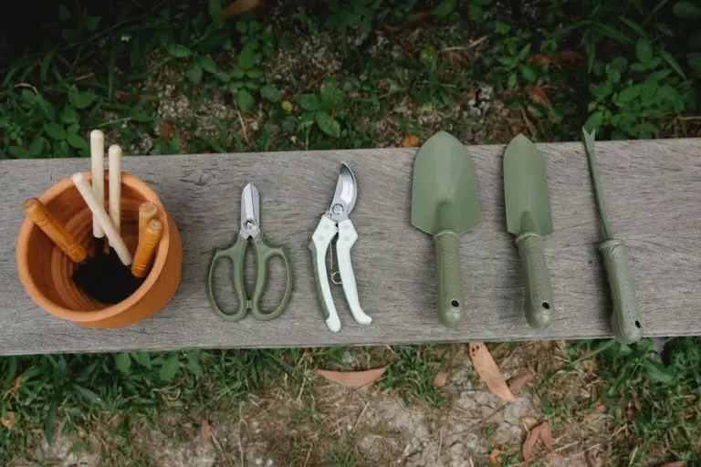 How to Clean and Disinfect Garden Tools Okra In My Garden