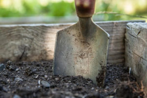 garden trowel in dirt