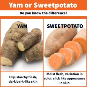 yam and sweet potato comparison