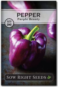 purple bell pepper