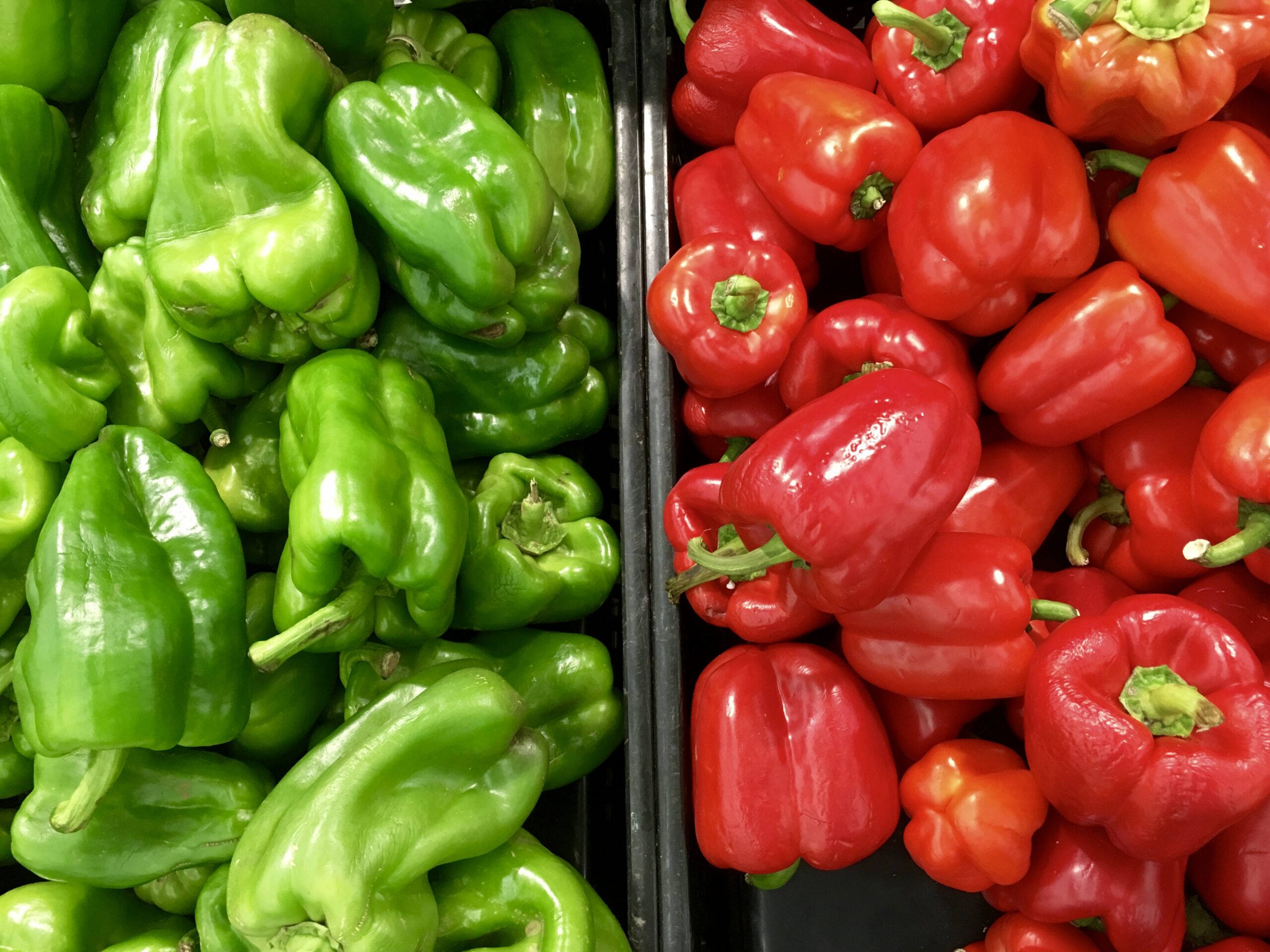 Read more about the article 3 Reasons Why Green Peppers Aren’t Turning Red