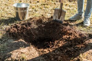digging hole in soil