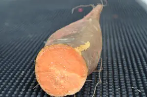 sweet potato scurf