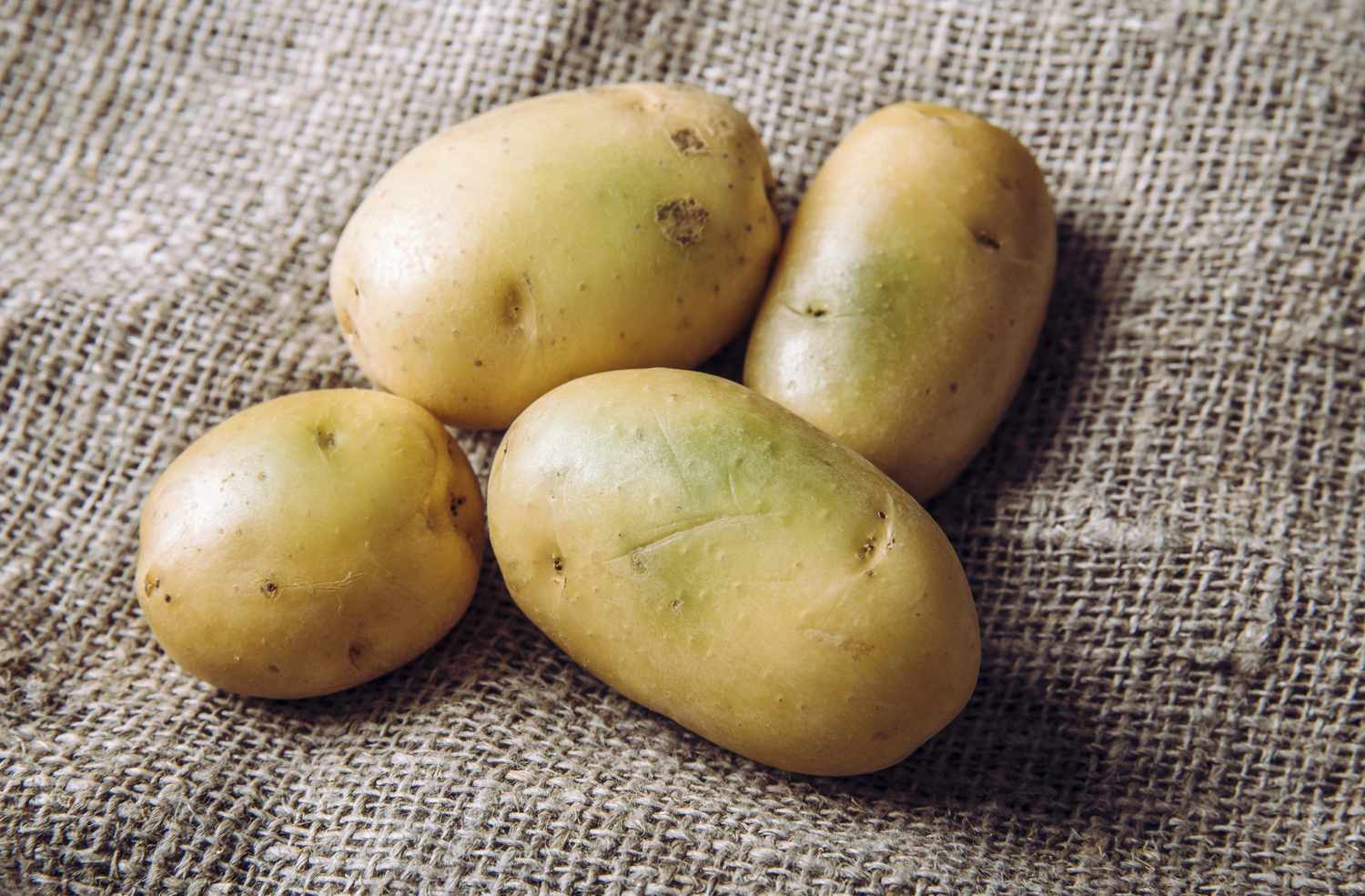 You are currently viewing How to Keep Potatoes From Turning Toxic Green
