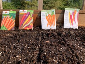 carrot seeds