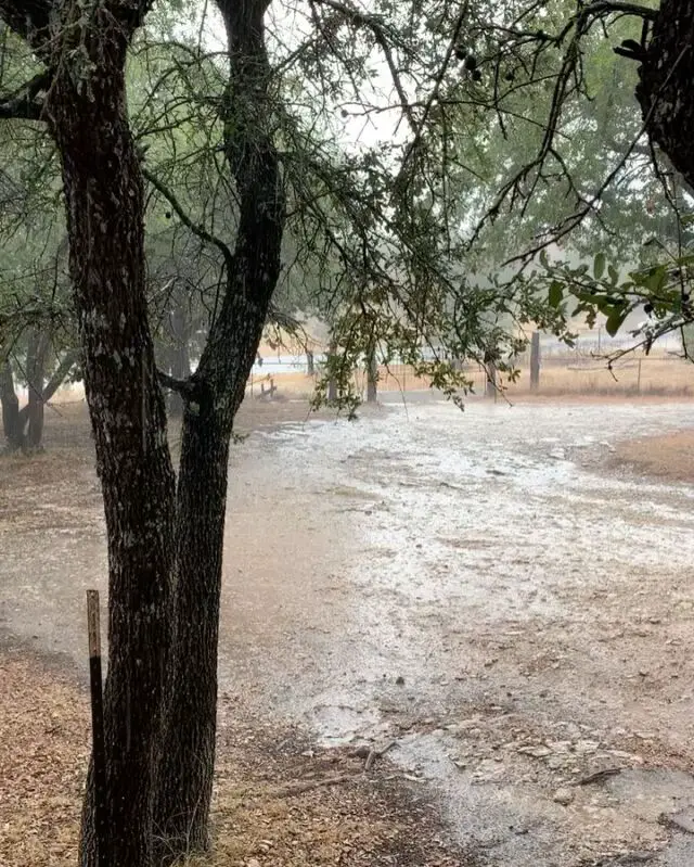 After three months of no rain, we are so thankful for the inch of rain we received, even if it was all at once!
☂️
OkraInMyGarden.com
🪴
#vegetablegarden #containergarden #containergardener #organicgardening #smallspacegarden #limitedspacegardening #smallgardens
#Texasvegetablegarden #backyardgardening
#Texasgardening #hillcountrygardening #beginnergardener #citygarden #pottedgarden #gardenblog #gardenblogger #raisedbedgardens